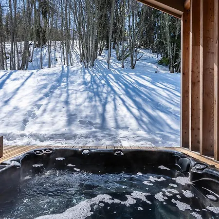 Chalet De Luxe à Avec Spa, Accès Direct Aux Pistes - Fr-1-755-23 *
