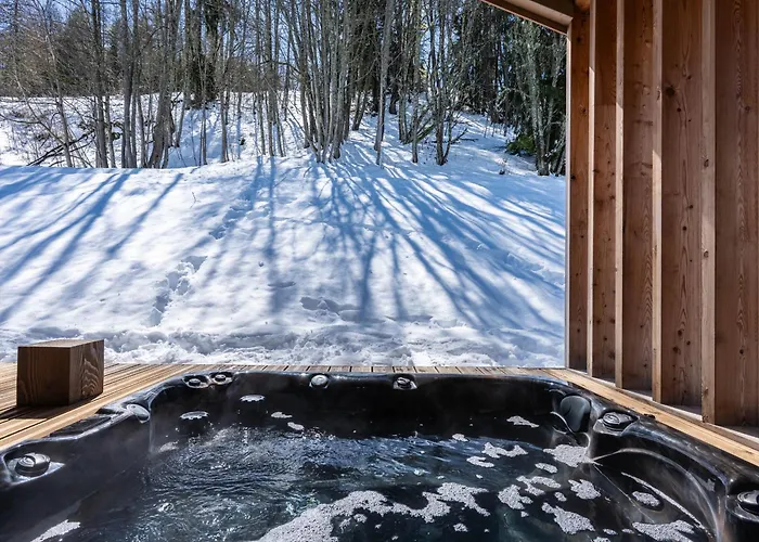 シャレー De Luxe A Avec Spa, Acces Direct Aux Pistes - Fr-1-755-23 *